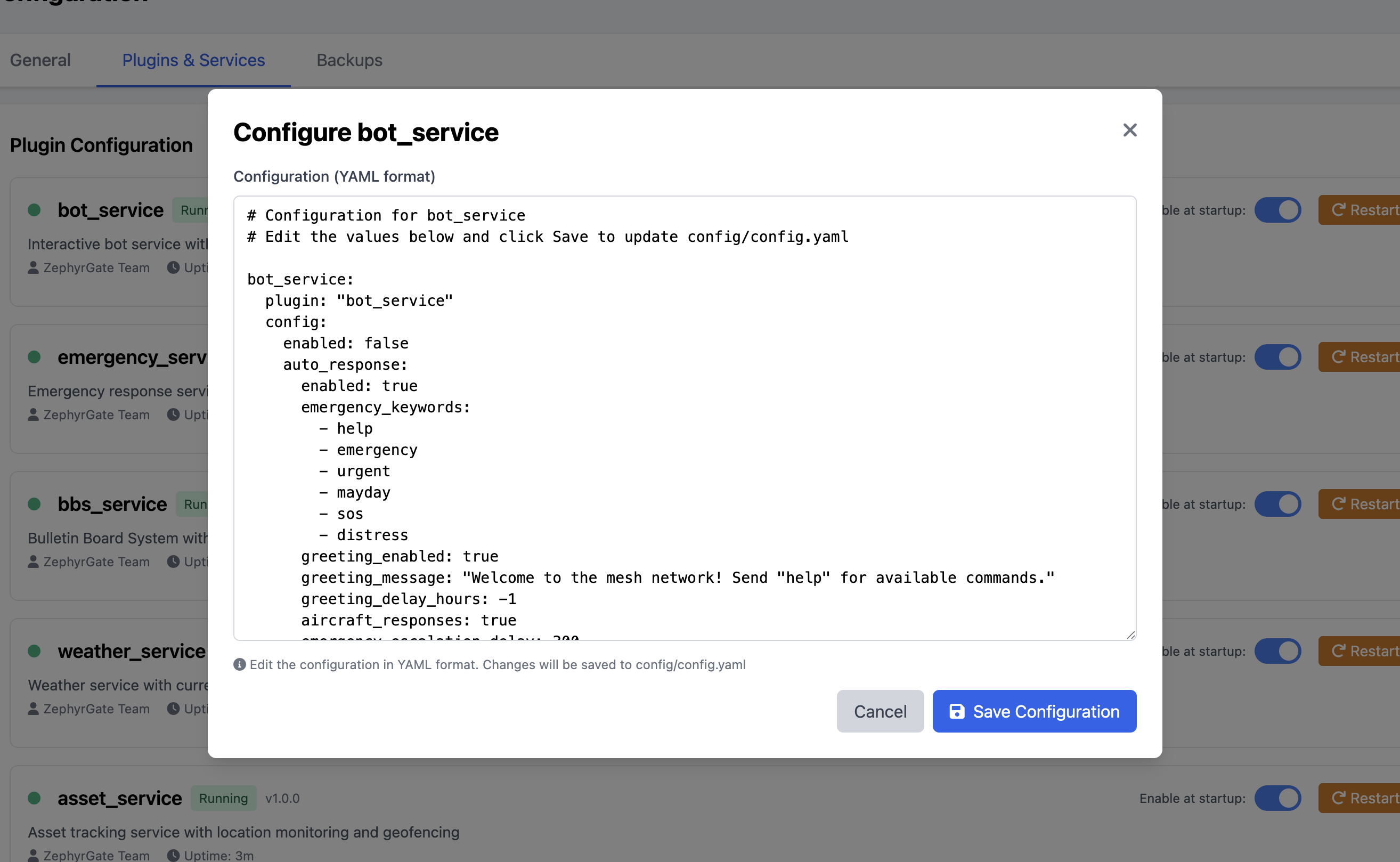 Detailed Plugin Configuration